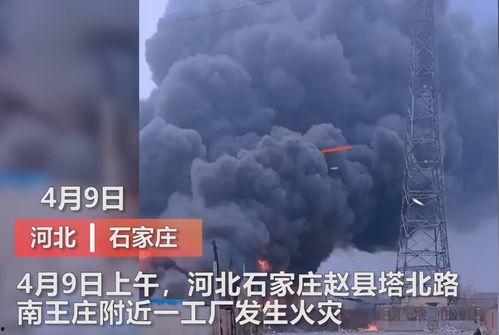 王庄最新爆料新闻视频播放,视频揭秘惊人内幕,真相令人震惊!  第1张 王庄最新爆料新闻视频播放,视频揭秘惊人内幕,真相令人震惊!  第1张