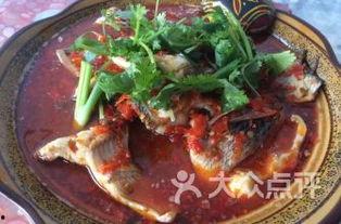 罗非鱼邻居爆料视频,揭秘水下生活点滴  第1张 罗非鱼邻居爆料视频,揭秘水下生活点滴  第1张